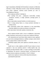 Diplomdarbs 'Mazā uzņēmuma ekonomika un plānošana', 8.