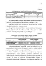 Diplomdarbs 'Mazā uzņēmuma ekonomika un plānošana', 10.