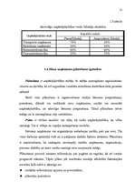 Diplomdarbs 'Mazā uzņēmuma ekonomika un plānošana', 20.