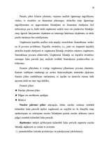 Diplomdarbs 'Mazā uzņēmuma ekonomika un plānošana', 23.