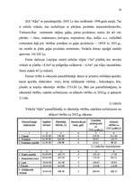 Diplomdarbs 'Mazā uzņēmuma ekonomika un plānošana', 29.