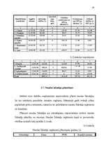 Diplomdarbs 'Mazā uzņēmuma ekonomika un plānošana', 42.