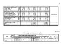 Diplomdarbs 'Mazā uzņēmuma ekonomika un plānošana', 60.