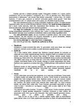 Konspekts 'Sejas maskas', 4.