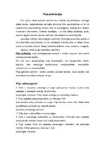 Referāts 'Pūļa psiholoģija', 2.