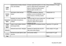 Biznesa plāns 'Biznesa plāns - deju studija', 39.