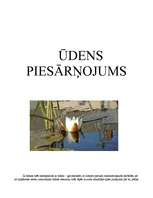 Referāts 'Ūdens piesārņojums', 1.