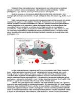 Referāts 'Ūdens piesārņojums', 4.