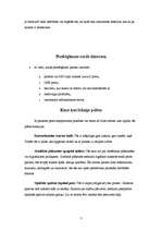 Konspekts 'Datorpeles', 7.