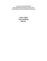 Konspekts 'Romāns "Līgavu mednieki"', 1.