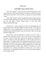 Konspekts 'Romāns "Līgavu mednieki"', 2.