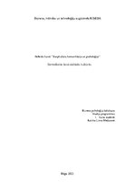 Referāts 'Simboliskie žesti dažādās kultūrās', 1.