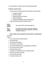 Referāts 'Klientu attiecību vadīšana', 4.