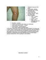 Referāts 'Klīniskās aprūpes pamati', 13.