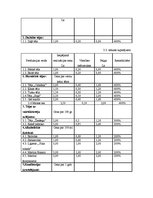 Biznesa plāns 'Biznesa plāns', 5.