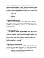 Biznesa plāns 'Biznesa plāns', 9.