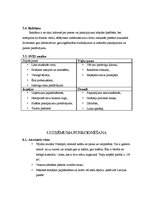 Biznesa plāns 'Biznesa plāns', 10.