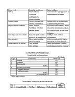 Biznesa plāns 'Biznesa plāns', 13.