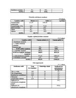 Biznesa plāns 'Biznesa plāns', 16.