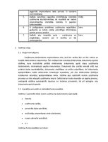 Konspekts 'Elektroniska dokumentu aprite', 3.