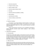 Konspekts 'Elektroniska dokumentu aprite', 4.