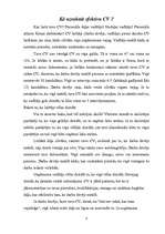 Prakses atskaite 'Prakse referenta amatā', 8.