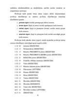 Prakses atskaite 'Prakse referenta amatā', 20.