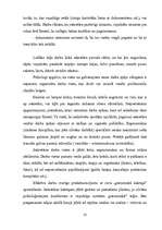 Prakses atskaite 'Prakse referenta amatā', 23.