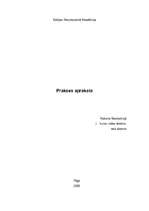 Prakses atskaite 'Profesionālā prakse SIA "Alan Deko"', 1.