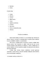 Prakses atskaite 'Profesionālā prakse SIA "Alan Deko"', 4.