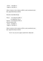 Prakses atskaite 'Profesionālā prakse SIA "Alan Deko"', 6.