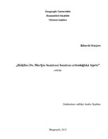 Referāts 'Ikšķiles pils un baznīcas vēsture', 1.