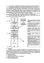 Referāts 'Bezskaidro norēķinu veidi', 5.