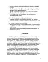 Referāts 'Uzņēmumu kreditēšana', 11.