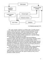 Referāts 'Uzņēmumu kreditēšana', 15.