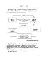 Referāts 'Uzņēmumu kreditēšana', 19.