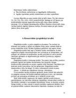 Referāts 'Uzņēmumu kreditēšana', 20.