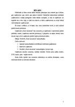 Referāts 'SIA "Fazer maiznīca" konkurētspēja', 3.