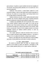 Referāts 'SIA "Fazer maiznīca" konkurētspēja', 17.