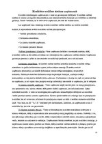 Prakses atskaite 'Prakses atskaite', 14.