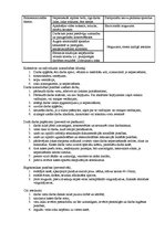 Paraugs 'Darba vides riska novērtēšana', 2.