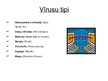 Prezentācija 'Datorvīrusi', 5.