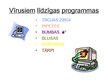 Prezentācija 'Datorvīrusi', 6.