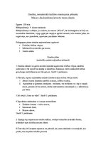 Konspekts 'Stundas plāns - maize', 1.