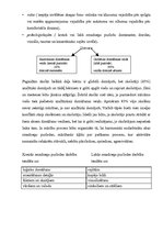 Konspekts 'Mācīšanās stili', 2.