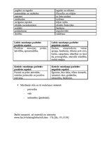 Konspekts 'Mācīšanās stili', 3.