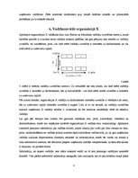 Referāts 'Vadīšanas stila analīze organizācijā "X"', 8.