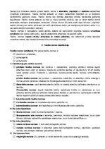 Konspekts 'Atkārtojuma jautājumi studiju kursā "Tiesību teorija"', 6.