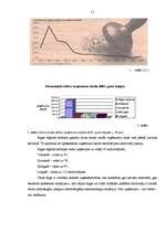 Referāts 'Latvijas ekonomikas problēmas', 10.
