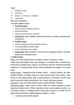 Konspekts 'Vadības socioloģija', 2.